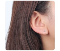 Silver Studs Earring STS-2487